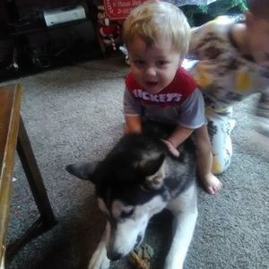 Meet your Posher, Brian